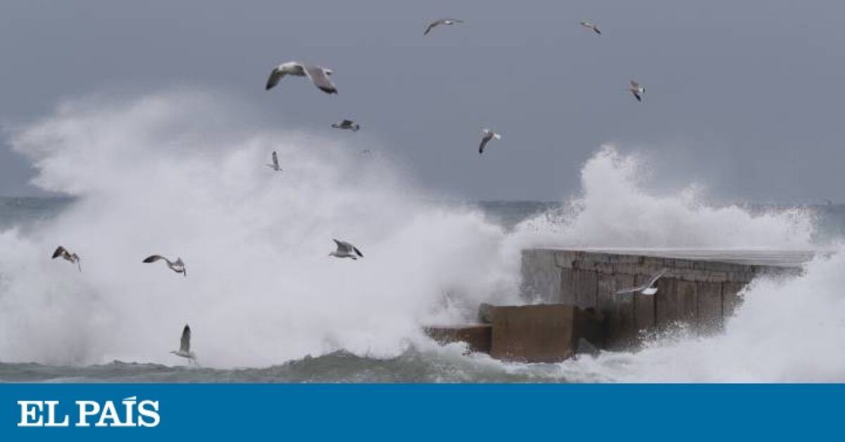 Meteocat, temps Mataró, Protecció Civil, llevantada, temporal Maresme, onada de calor, sequera, rierada, pluges intenses Maresme