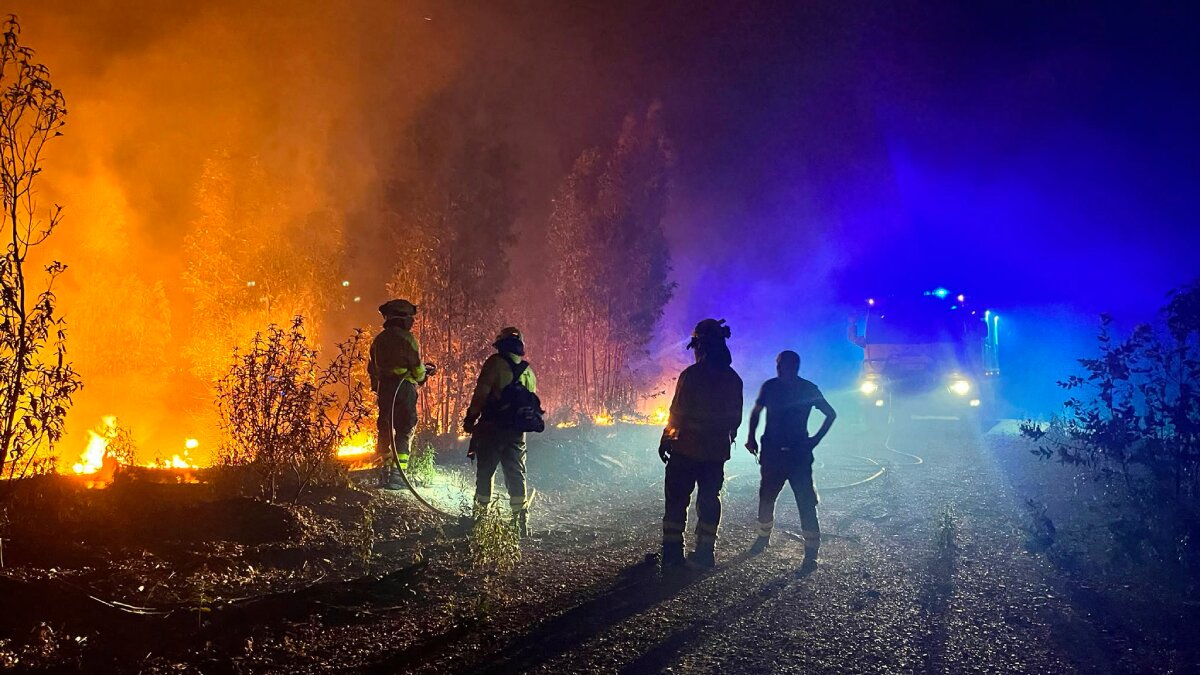 Crisi Incendiària a Andalusia i la Comunitat Valenciana: Niebla Sota Vigilància Crítica, Millora a Tírig