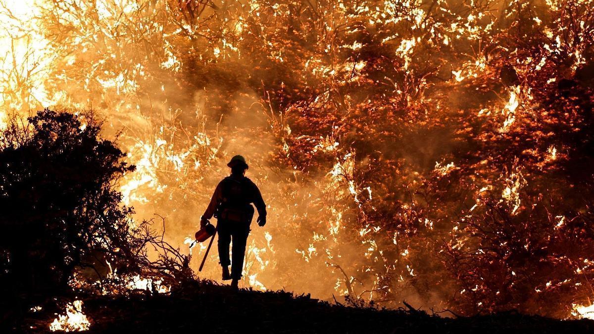 Incendis avui, 6 d'agost, a Catalunya i Espanya: l'amenaça persistent que devora el territori