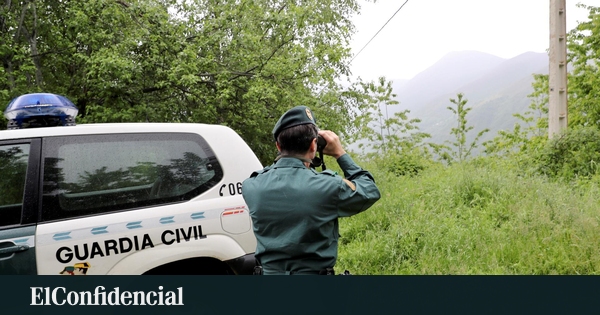 La Serra de San Vicente en Alerta: Una Operació Sense Precedents a la Cerca d'un Suposat Lleó